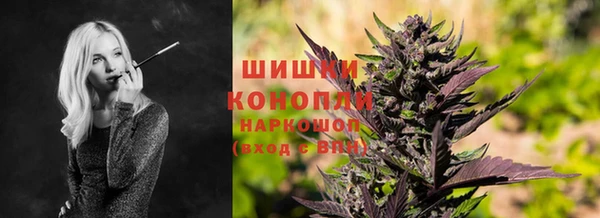 бошки Нея