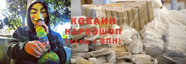 2c-b Новозыбков