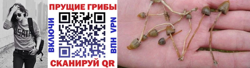 Псилоцибиновые грибы GOLDEN TEACHER ссылка на мегу как зайти Мураши